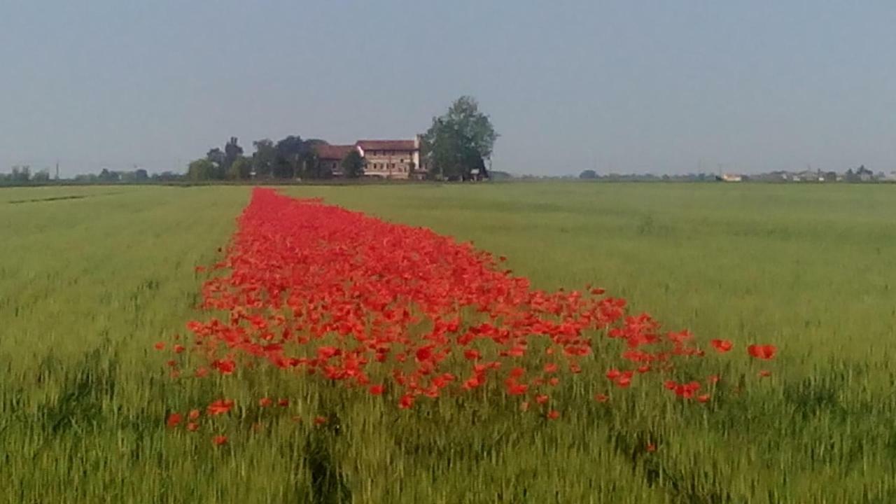 Appartamento Ca' Tiziana - Venice - Jesolo Musile di Piave Exterior photo